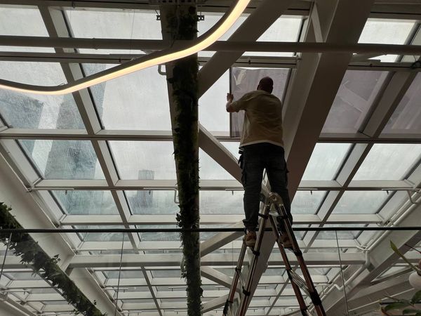 Тонировка стекол небоскреба